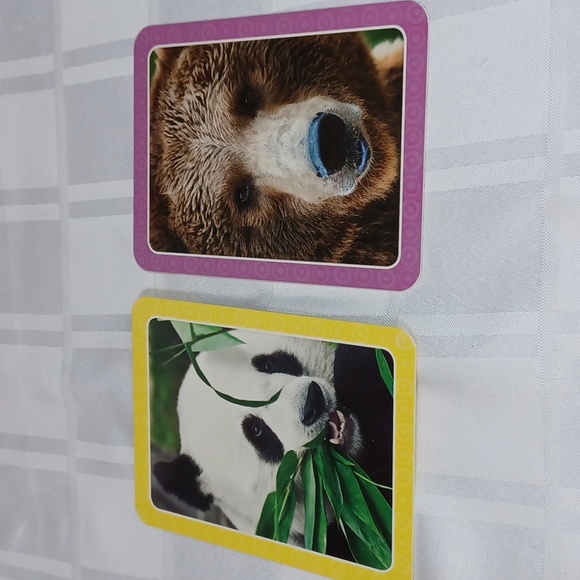 Get Set Go Flashcards 4 Boxed Set - Picture 15 of 16